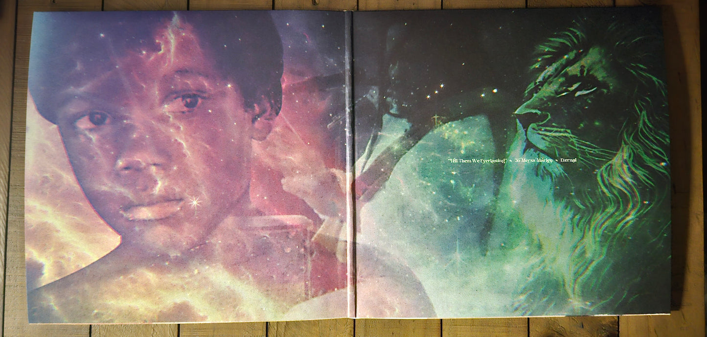 Stephen Marley "OLD SOUL" (2LP) vinyl album